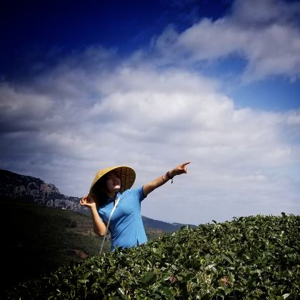 太姥山+杨家溪+花竹村+东壁+东海一号观光步道3日2晚拼小团