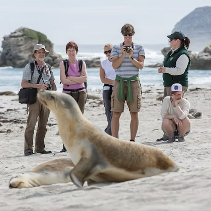 澳大利亚阿德莱德5日4晚跟团游