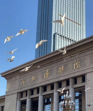 4日3晚 • 石家庄＋正定古城＋西柏坡景区＋河北博物院 燕赵雄风 独立用车 西柏坡 龙泉古城 隆兴寺 赵州桥 正定古城