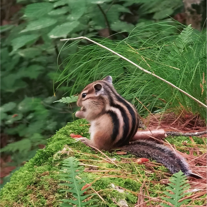 伊春3日2晚跟团游