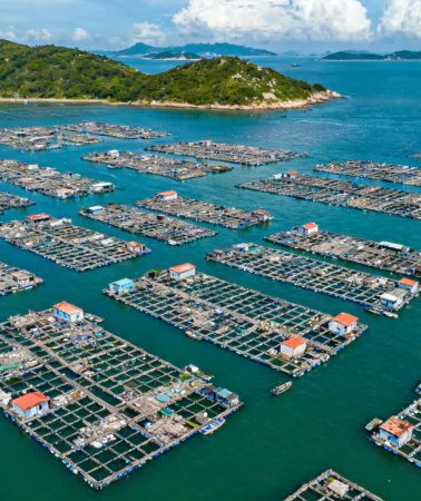 5日4晚 • 霞浦｜海上仙都：太姥山｜嵛山島：閩東第一大島