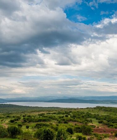 4D3N • 4-Day Masai Mara and Lake Nakuru Safari Tour from Nairobi
