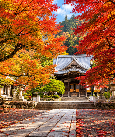 2D1N • Tokyo + Izu City + Lake Kawaguchi Maple Corridor + Oishi Park + Shuzenji Nature Park + Shuzenji