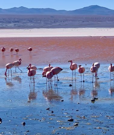 4D3N • La Paz: 4-Day Death Road & Uyuni to San Pedro de Atacama