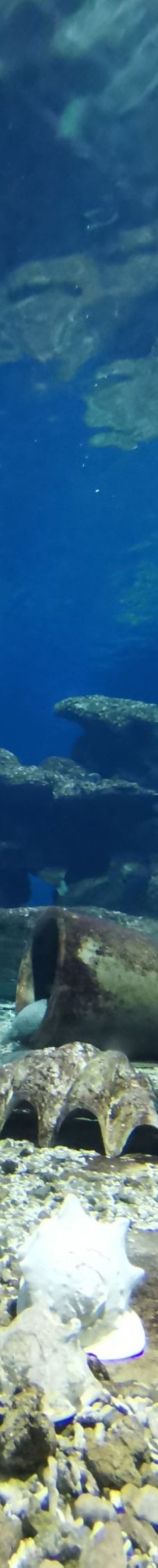 新澳海底世界-秦皇岛