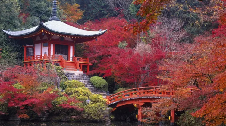 长沙