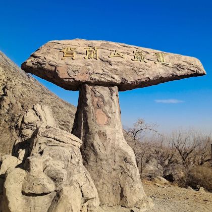 银川+中卫+固原7日6晚拼小团