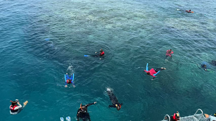 澳大利亞墨爾本+艾利灘+漢密爾頓島+沖浪者天堂+悉尼+大洋路+悉尼歌劇院+心形礁+普芬比利蒸汽火車+藍(lán)山國(guó)家公園19日17晚私家團(tuán)
