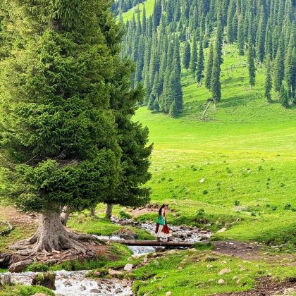 新疆北疆+乌鲁木齐10日9晚跟团游