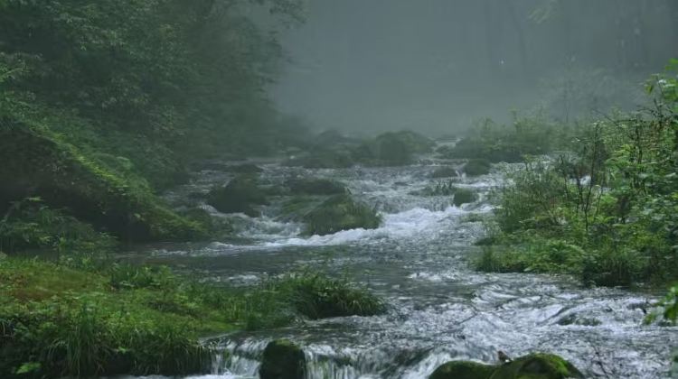 3D2N · Group Tours · Ask & Save · Zhangjiajie Deep Dive: 2-Day Forest Park + Tianmen Mountain + Glass Bridge·5-diamond hotels throughout. Complimentary e-SIM.