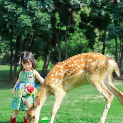 神农架3日2晚跟团游
