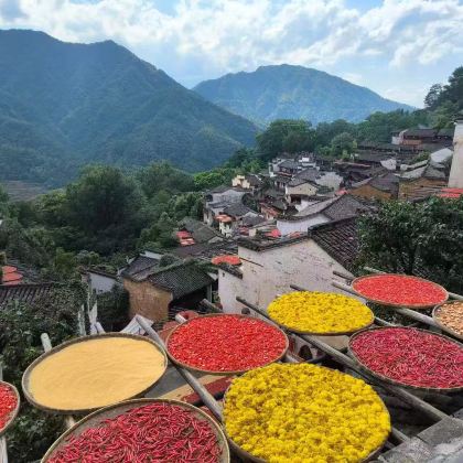 江西葛仙村度假区+望仙谷+婺源篁岭景区+婺女洲度假区+景德镇5日4晚自由行