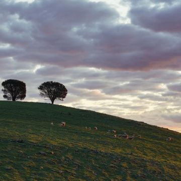 澳大利亚阿德莱德+弗勒里厄半岛+汉多夫德国村5日4晚私家团