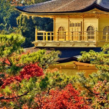 日本东京+富士山+大阪+京都+奈良市10日9晚跟团游