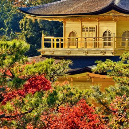 日本东京+富士山+大阪+京都+奈良10日9晚跟团游