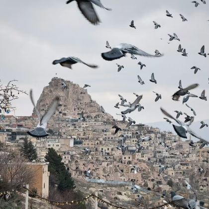 土耳其9日8晚私家团