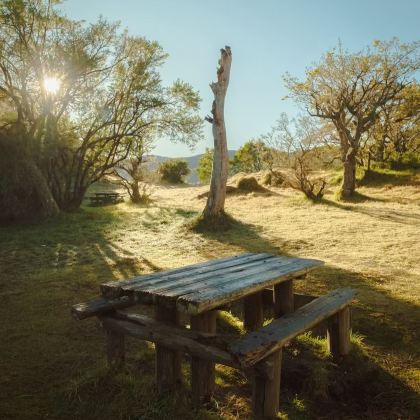毛里求斯+留尼汪（法属）+塞舌尔13日12晚私家团