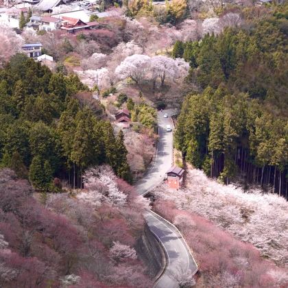 东京+富士山+日立市5日4晚跟团游