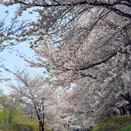 韩国首尔6日5晚拼小团