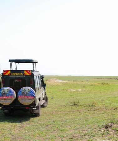 3D2N • 3 Day Masai Mara Migration 2026/27 | Daily Budget Safaris on 4×4