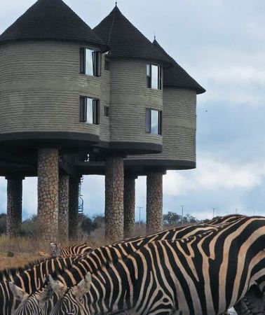 2D1N • 2 Days Salt Lick Safari Tour-Cost based on Minimum - 2 People