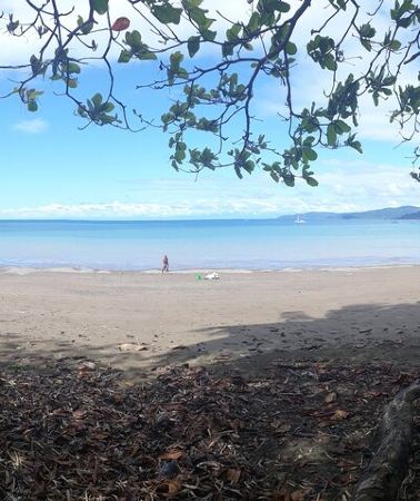 3D2N • 2 Nights in Drake Bay + Corcovado National Park