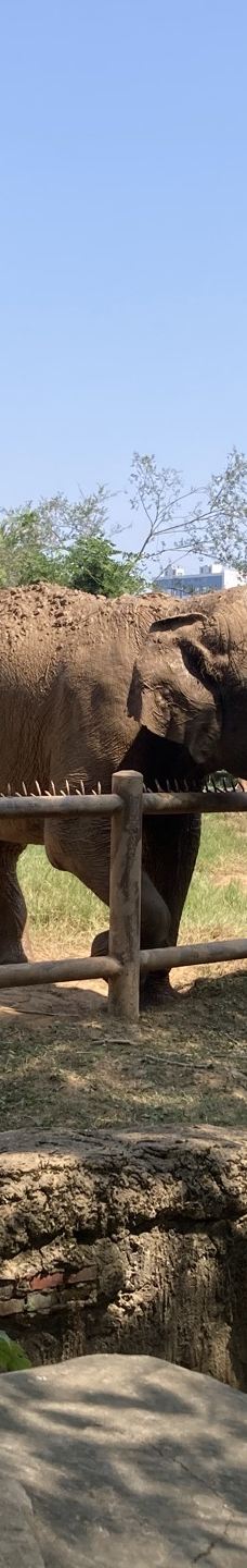 南昌动物园-南昌