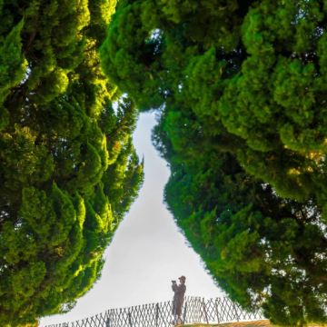 青岛+威海+烟台+蓬莱区+大连6日5晚跟团游