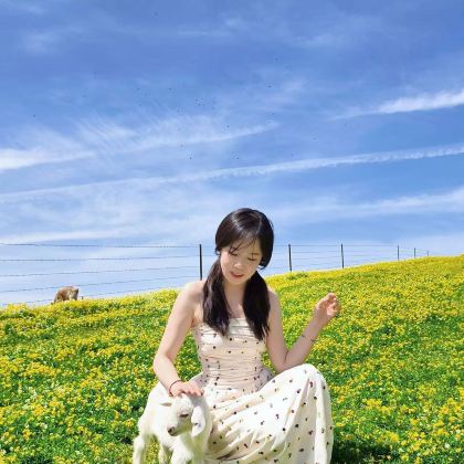 新疆乌鲁木齐+北疆+喀纳斯景区+伊犁11日10晚拼小团