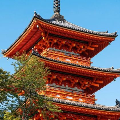 日本大阪+东京+京都+奈良+富士山7日6晚跟团游