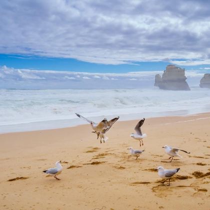 澳大利亚悉尼+凯恩斯+大堡礁+大洋路+墨尔本10日8晚私家团