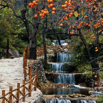 临汾3日2晚私家团