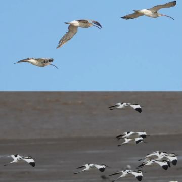 盐城4日3晚私家团