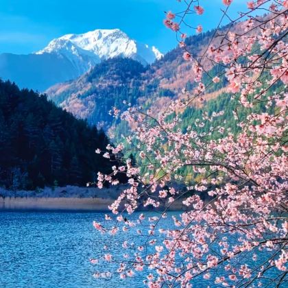 中国甘肃甘南拉卜楞寺+扎尕那+四川九寨沟风景区+黄龙风景名胜区6日5晚跟团游