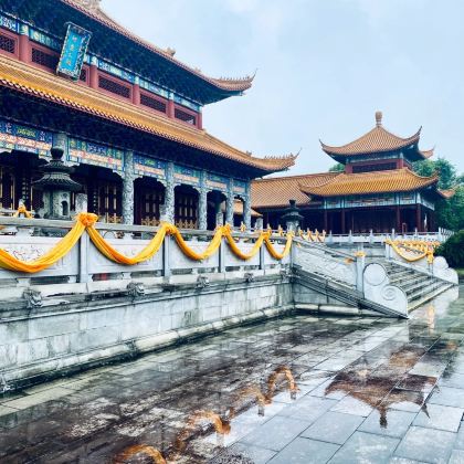 株洲+炎帝陵+神农谷国家森林公园+醴陵2日1晚私家团