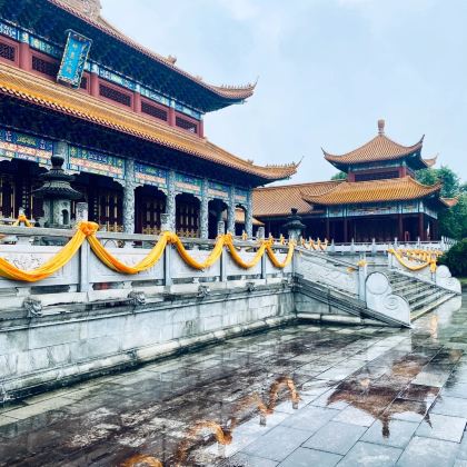 株洲+炎帝陵+神农谷国家森林公园+醴陵2日1晚私家团