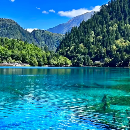 成都+九寨沟+黄龙风景名胜区5日4晚私家团