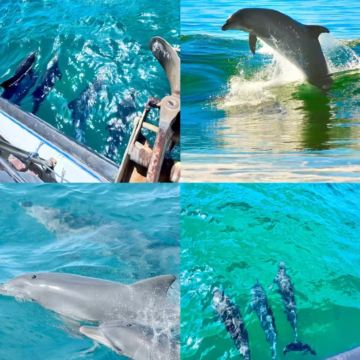 澳大利亚悉尼+斯蒂芬斯港+墨尔本9日7晚私家团