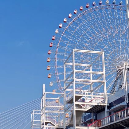 日本大阪+大阪海游馆+奈良6日5晚私家团