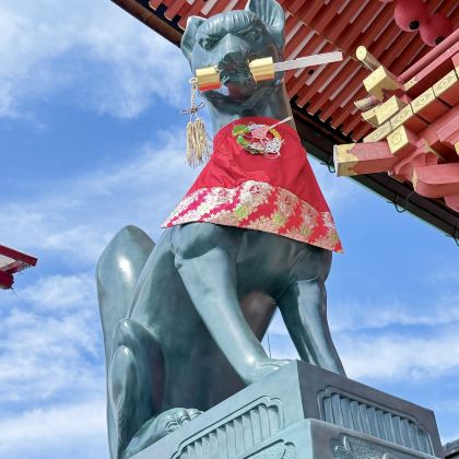 日本大阪+京都+奈良+富士山+伊豆+东京7日6晚跟团游