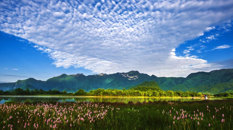 8-day 7-night · Private Tour · Enshi City + Shennongjia + Yichang