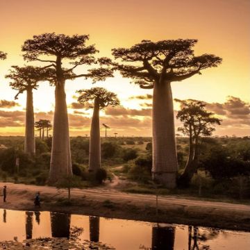 马达加斯加7日6晚私家团