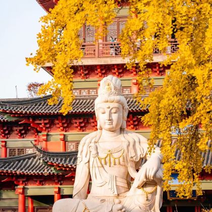 南京+扬州+泰州5日4晚私家团