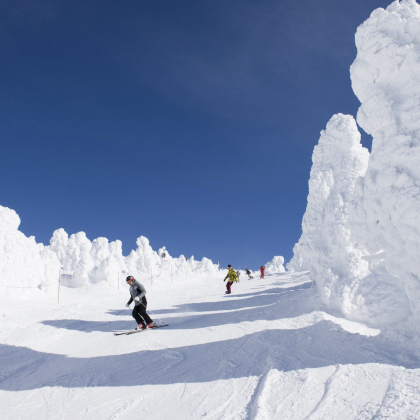 日本东京+仙台+山形6日5晚私家团