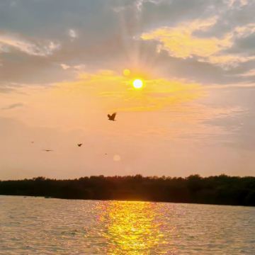 吉隆坡+马六甲+瓜拉雪兰莪7日6晚自由行