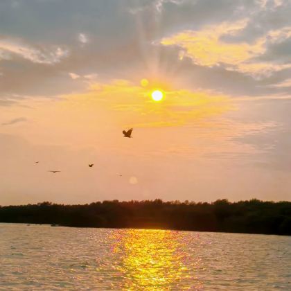 吉隆坡+马六甲+瓜拉雪兰莪7日6晚自由行