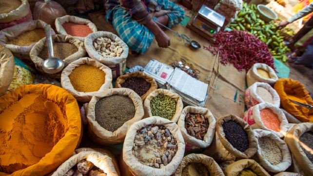 8-Day Golden Triangle India Adventure Tour ·Delhi, Agra and Jaipur | Taj Mahal, Agra Fort, Fatehpur Sikri, Dhula Village, Amber Fort and City Palace