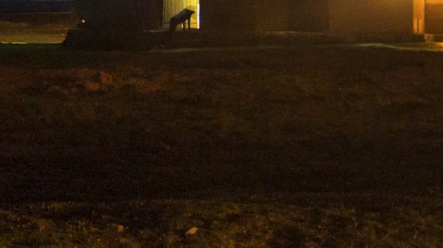 11-Day Bolivia Discovery Tour from La Paz·Sucre, Potosí, Uyuni, Salt Flats | Max 16 Pax