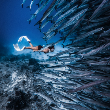 菲律宾宿务+薄荷岛+锡基霍尔岛7日6晚私家团