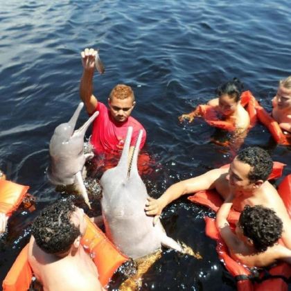 巴西圣保罗+马瑙斯+亚马逊雨林6日5晚私家团